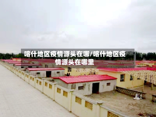 喀什地区疫情源头在哪/喀什地区疫情源头在哪里-第2张图片