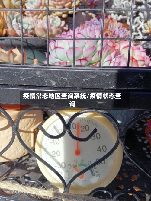 疫情常态地区查询系统/疫情状态查询