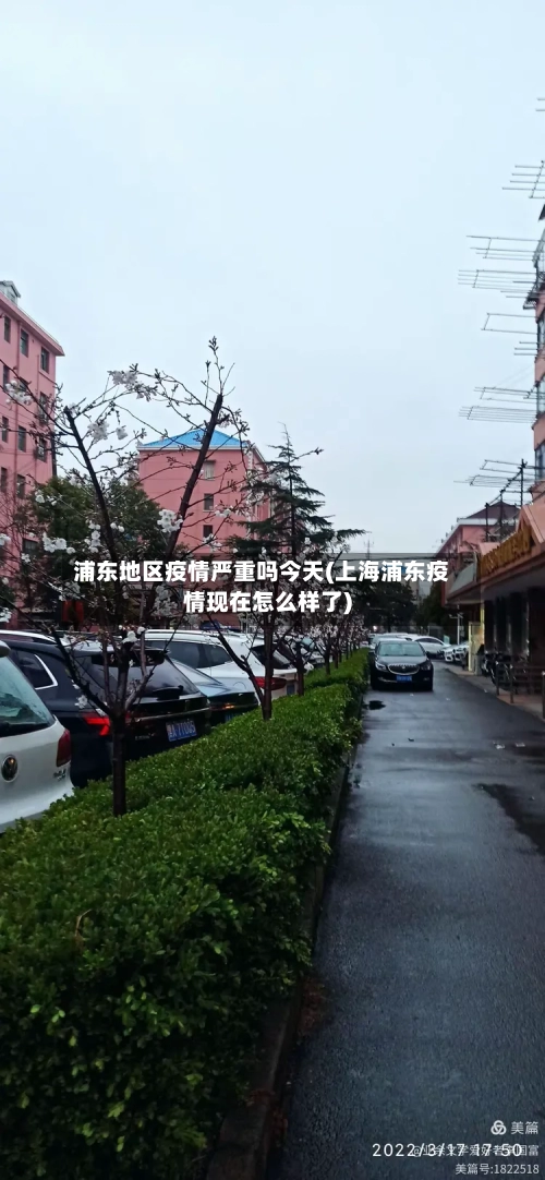 浦东地区疫情严重吗今天(上海浦东疫情现在怎么样了)