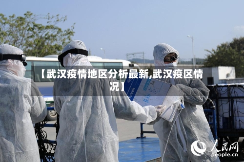 【武汉疫情地区分析最新,武汉疫区情况】-第3张图片