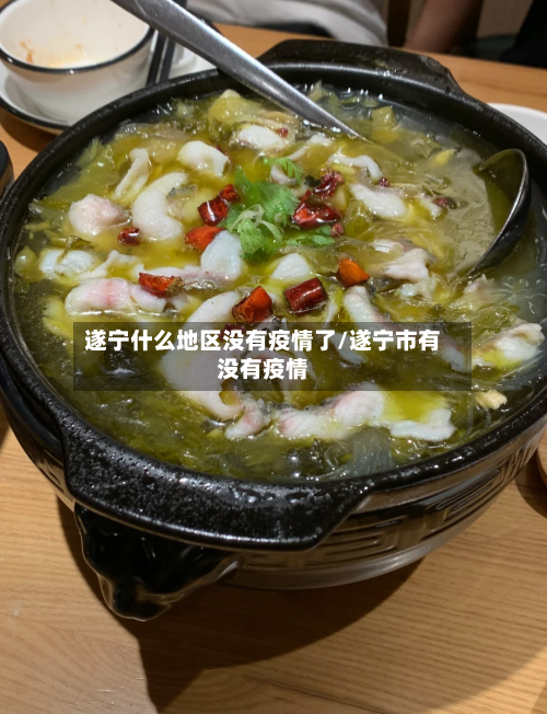 遂宁什么地区没有疫情了/遂宁市有没有疫情-第2张图片