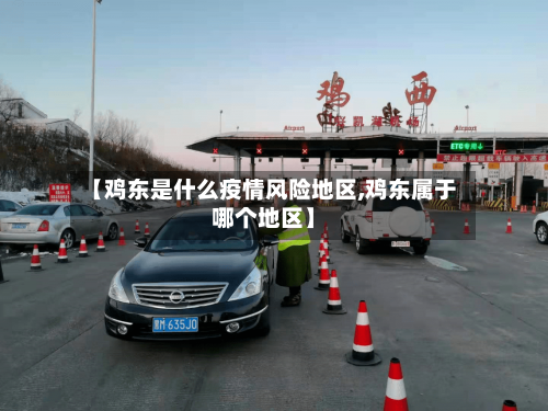 【鸡东是什么疫情风险地区,鸡东属于哪个地区】