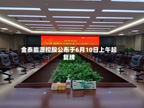 金泰能源控股公布于6月10日上午起复牌