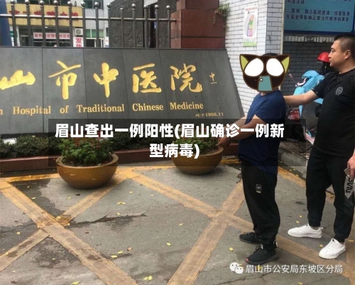 眉山查出一例阳性(眉山确诊一例新型病毒)