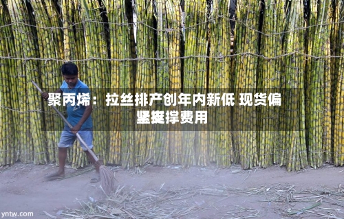 聚丙烯：拉丝排产创年内新低 现货偏紧支撑费用坚挺-第2张图片