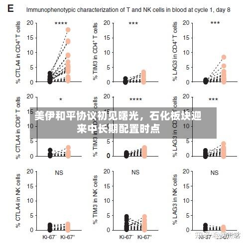 美伊和平协议初见曙光，石化板块迎来中长期配置时点-第3张图片