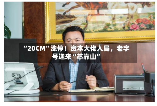 “20CM”涨停！资本大佬入局，老字号迎来“芯靠山	”-第2张图片