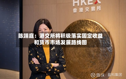 陈翊庭：港交所将积极落实固定收益和货币市场发展路线图