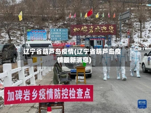 辽宁省葫芦岛疫情(辽宁省葫芦岛疫情最新消息)-第2张图片