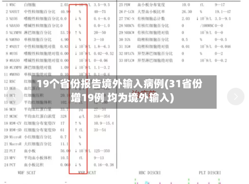 19个省份报告境外输入病例(31省份增19例 均为境外输入)