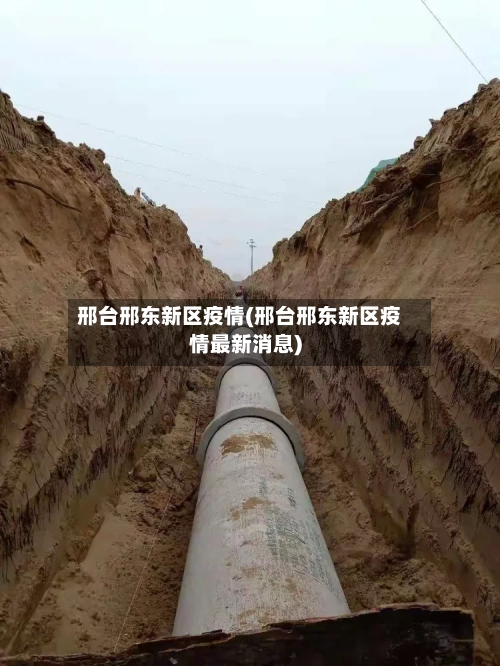 邢台邢东新区疫情(邢台邢东新区疫情最新消息)