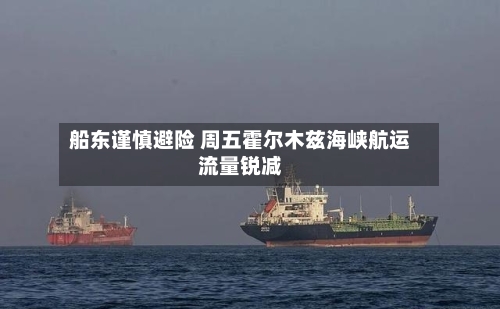 船东谨慎避险 周五霍尔木兹海峡航运流量锐减-第3张图片