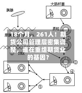 18个月	，261人！期货公司管理层密集调整，谁在重组期货业的基因？-第3张图片