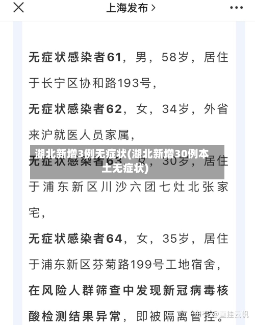 湖北新增3例无症状(湖北新增30例本土无症状)-第3张图片