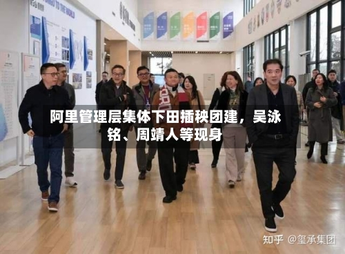 阿里管理层集体下田插秧团建，吴泳铭、周靖人等现身-第2张图片