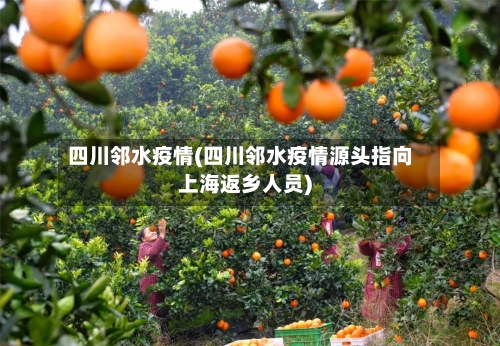 四川邻水疫情(四川邻水疫情源头指向上海返乡人员)-第2张图片