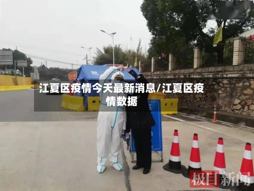 江夏区疫情今天最新消息/江夏区疫情数据-第2张图片