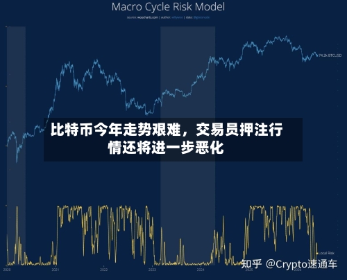 比特币今年走势艰难，交易员押注行情还将进一步恶化-第1张图片