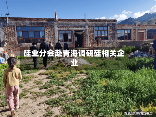 硅业分会赴青海调研硅相关企业-第1张图片