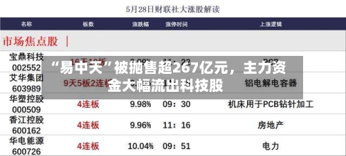 “易中天”被抛售超267亿元，主力资金大幅流出科技股-第2张图片