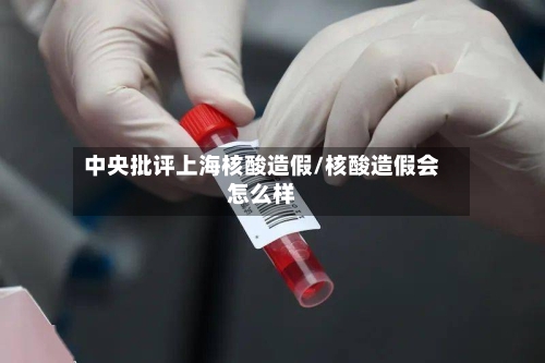 中央批评上海核酸造假/核酸造假会怎么样
