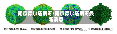 南京德尔塔病毒/南京德尔塔病毒最新消息-第2张图片