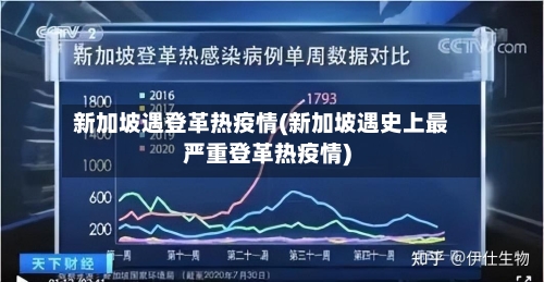 新加坡遇登革热疫情(新加坡遇史上最严重登革热疫情)-第2张图片