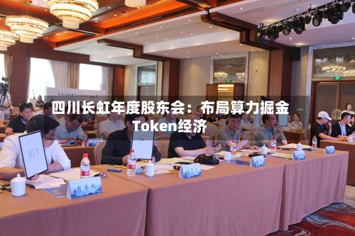 四川长虹年度股东会：布局算力掘金Token经济