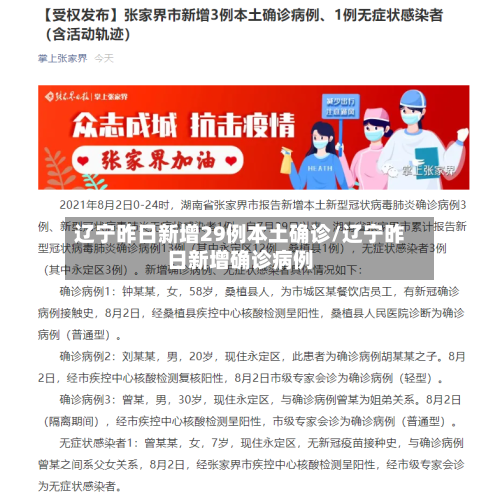 辽宁昨日新增29例本土确诊/辽宁昨日新增确诊病例