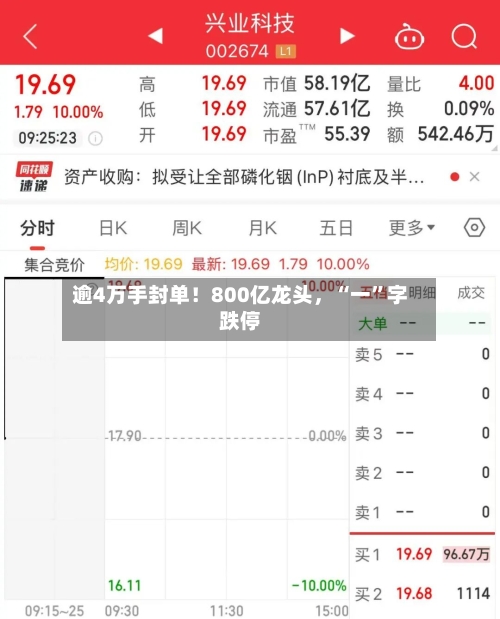 逾4万手封单！800亿龙头，“一”字跌停-第2张图片