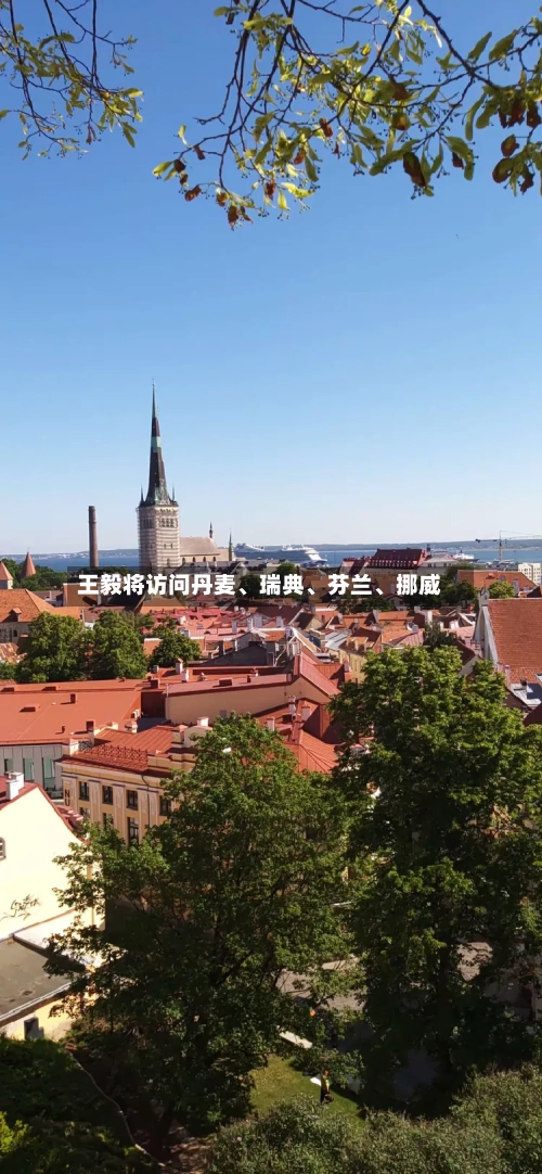 王毅将访问丹麦、瑞典、芬兰、挪威