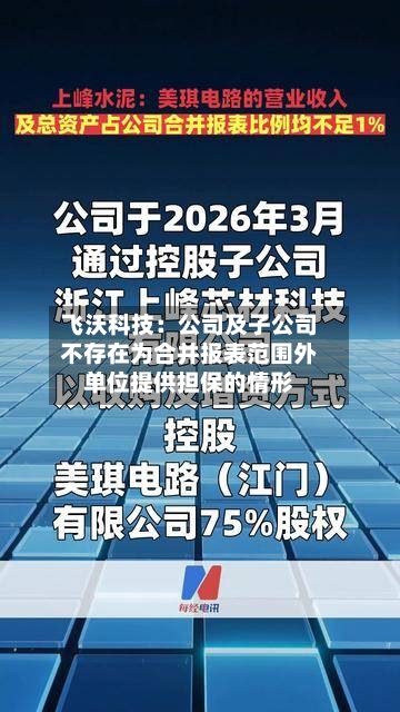 飞沃科技：公司及子公司不存在为合并报表范围外单位提供担保的情形-第1张图片
