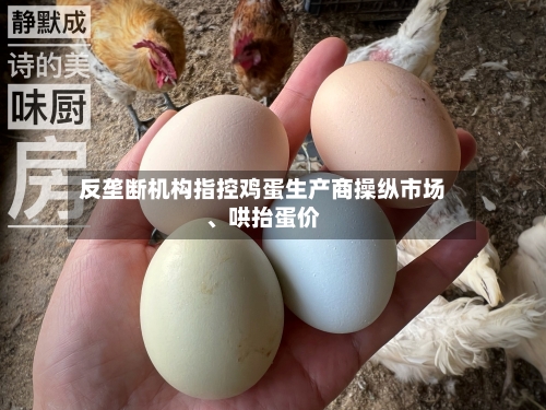反垄断机构指控鸡蛋生产商操纵市场、哄抬蛋价