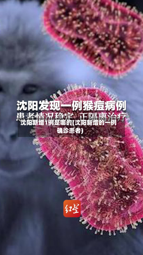 沈阳新增1例是哪的(沈阳新增的一例确诊患者)-第3张图片