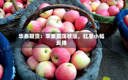 华泰期货：苹果震荡收涨，红枣小幅反弹-第1张图片