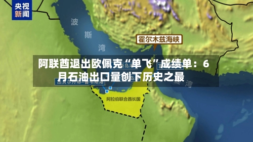 阿联酋退出欧佩克“单飞	”成绩单：6月石油出口量创下历史之最-第1张图片