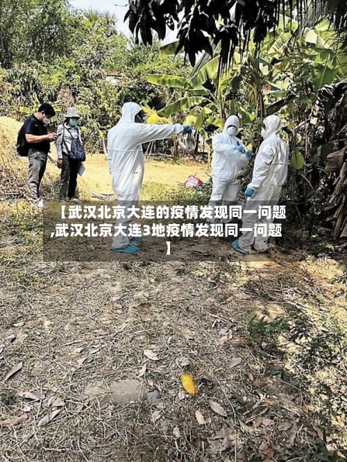 【武汉北京大连的疫情发现同一问题,武汉北京大连3地疫情发现同一问题】
