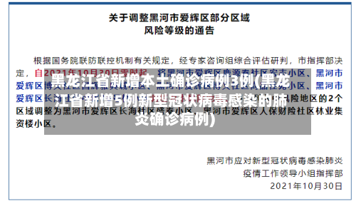 黑龙江省新增本土确诊病例3例(黑龙江省新增5例新型冠状病毒感染的肺炎确诊病例)