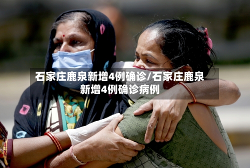 石家庄鹿泉新增4例确诊/石家庄鹿泉新增4例确诊病例