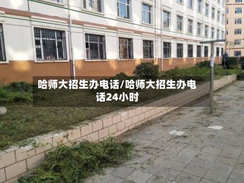 哈师大招生办电话/哈师大招生办电话24小时-第2张图片