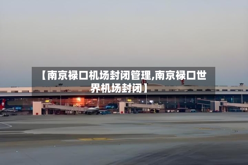 【南京禄口机场封闭管理,南京禄口世界机场封闭】-第2张图片
