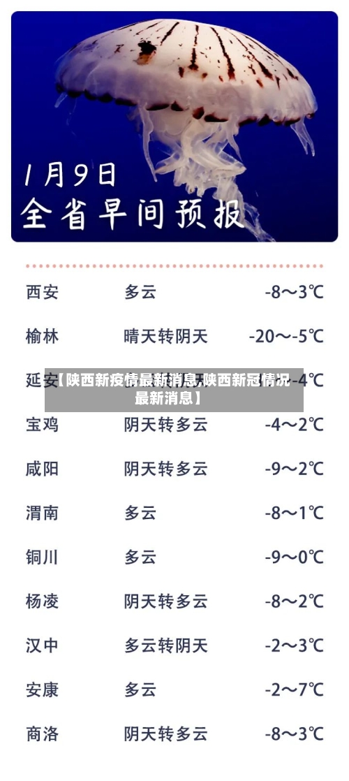 【陕西新疫情最新消息,陕西新冠情况最新消息】-第3张图片
