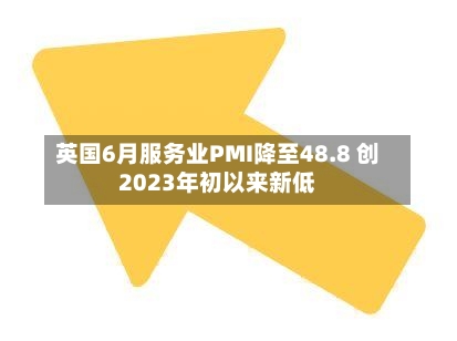 英国6月服务业PMI降至48.8 创2023年初以来新低