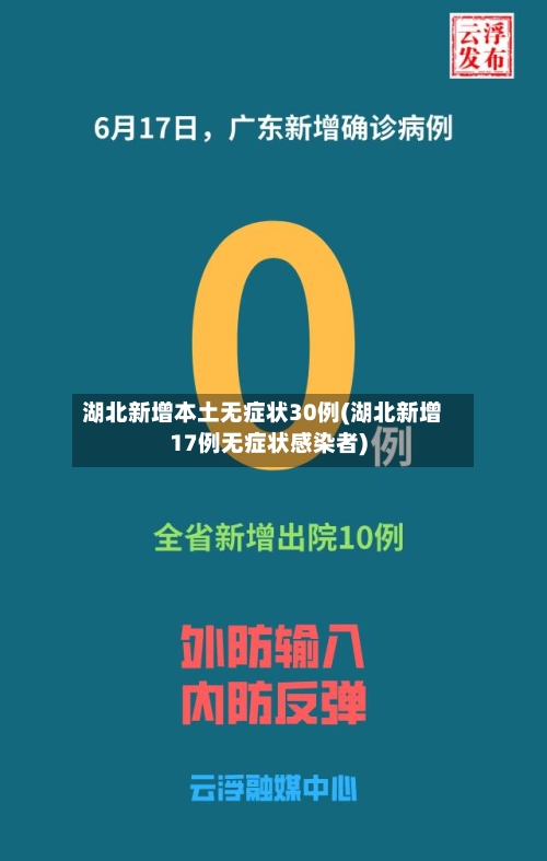 湖北新增本土无症状30例(湖北新增17例无症状感染者)