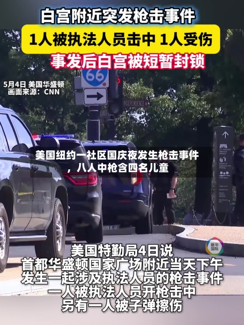 美国纽约一社区国庆夜发生枪击事件，八人中枪含四名儿童-第3张图片