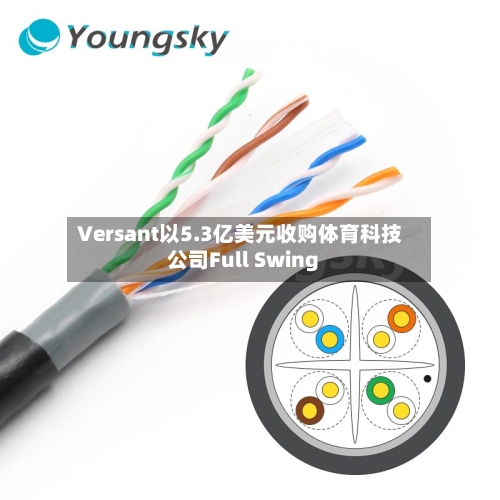 Versant以5.3亿美元收购体育科技公司Full Swing