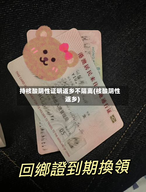 持核酸阴性证明返乡不隔离(核酸阴性 返乡)