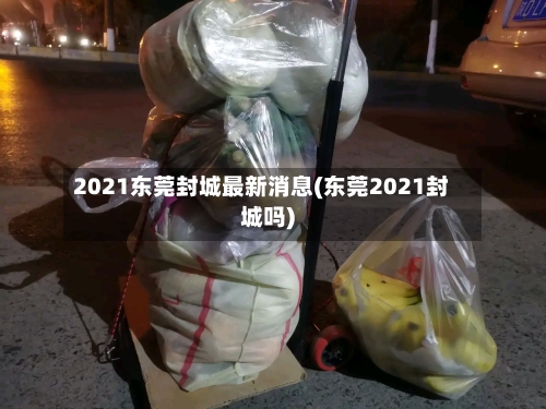 2021东莞封城最新消息(东莞2021封城吗)-第3张图片