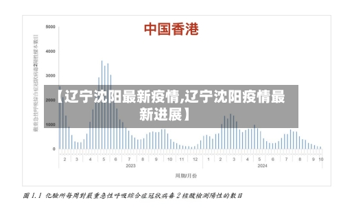 【辽宁沈阳最新疫情,辽宁沈阳疫情最新进展】