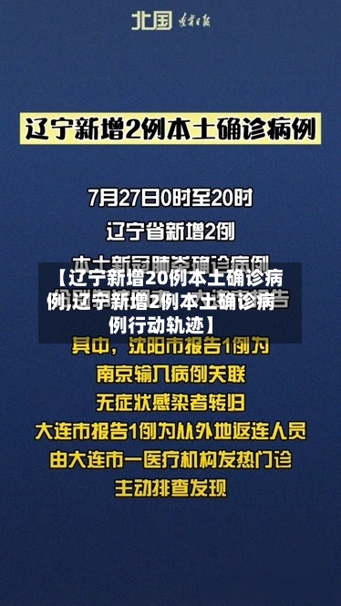 【辽宁新增20例本土确诊病例,辽宁新增2例本土确诊病例行动轨迹】-第2张图片